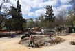 Supervisa Alfonso Martínez construcción de Skate Park