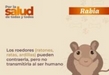 Arranca hoy en Michoacán campaña de vacunación antirrábica a gatos