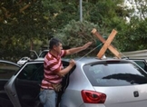 Instala Cofom centros de acopio de árboles de Navidad en Morelia