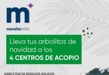Inicia campaña “La Navidad también se recicla”; se recibirán pinos naturales para composta