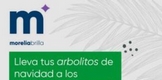 Inicia campaña “La Navidad también se recicla”; se recibirán pinos naturales para composta