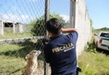 FGE rescató a más de 80 animalitos de situaciones de maltrato y crueldad