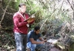 Autoridades ambientales atienden denuncia por tala en Atécuaro