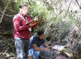 Autoridades ambientales atienden denuncia por tala en Atécuaro