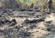 Vigilará Proam conservación del ANP del Manantial la Mintzita