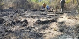 Vigilará Proam conservación del ANP del Manantial la Mintzita