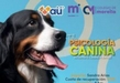 Colegio de Morelia invita a su curso sobre Psicología Canina