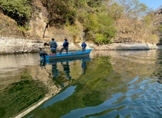 Sembrará Compesca medio millón de crías de tilapia en presa Francisco J. Múgica