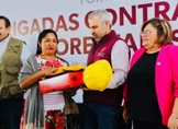 Brigadistas no estarán solos en combate contra incendios: Bedolla