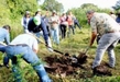 Gobierno de Michoacán prepara certificación ambiental para cultivo de aguacate
