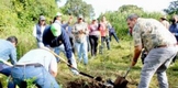 Gobierno de Michoacán prepara certificación ambiental para cultivo de aguacate
