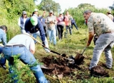 Gobierno de Michoacán prepara certificación ambiental para cultivo de aguacate