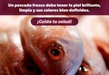 Emite SSM 10 recomendaciones para consumir productos pesqueros