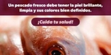 Emite SSM 10 recomendaciones para consumir productos pesqueros