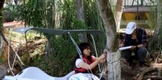 Realiza Zoo de Morelia inventario de especies forestales del recinto