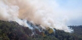 Controlado, 60% del incendio forestal en Cotija: Cofom