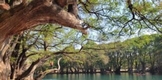 Vigila Proam que obra en Lago de Camécuaro cumpla con ley ambiental
