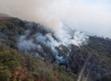 Suman 178 incendios forestales en Michoacán