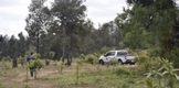 Asegurados por la FGE, siete predios por cambio de uso de suelo para actividades agrícolas