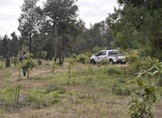 Asegurados por la FGE, siete predios por cambio de uso de suelo para actividades agrícolas