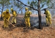 Fortalecen estrategia de combate a incendios