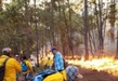 Cofom mantiene trabajos para extinguir incendio forestal en Cotija