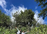 Cerro del Águila, esencial para la vida de los morelianos: Secma