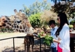 Este fin de semana largo conoce las especies y atractivos del Zoo de Morelia