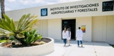 Abierta convocatoria para la Maestría en Producción Agropecuaria de la UMSNH