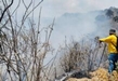 Por actividades ilícitas, más del 50 por ciento de incendios forestales en Michoacán: Cofom