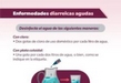 Exhorta SSM a extremar precauciones por temporada de calor