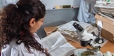 Alrededor de dos mil actividades se realizarán en el Tianguis de la Ciencia de la UMSNH
