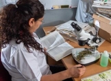 Alrededor de dos mil actividades se realizarán en el Tianguis de la Ciencia de la UMSNH