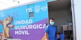 Todo un éxito la Jornada de esterilización de Mascotas en el CM