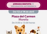 Habilita SSM módulo de vacunación antirrábica en Morelia