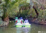 Habilitan lanchas para disfrutar de Selva Mexicana en el Zoo de Morelia