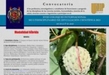 UMSNH realizará la XVIII edición del Coloquio Internacional Multidisciplinario