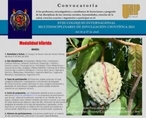UMSNH realizará la XVIII edición del Coloquio Internacional Multidisciplinario
