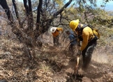 Trabajan 72 brigadas en atención de incendios forestales en Michoacán