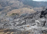 Se coloca Michoacán en cuarto lugar nacional, por incendios forestales