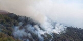Continúan activos cinco incendios forestales en Michoacán