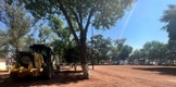 Preparan jardín del Ceconexpo para el Festival Michoacán de Origen 2023
