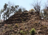 Conservación de zonas naturales, una prioridad para la Proam