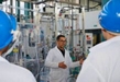 Crea Universidad Michoacana oficina de Protección Intelectual e Industrial