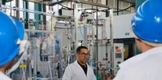 Crea Universidad Michoacana oficina de Protección Intelectual e Industrial