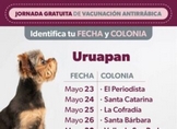 Arranca en Uruapan vacunación antirrábica canina y felina