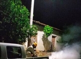Michoacán se mantiene debajo de la media nacional en casos de dengue: SSM