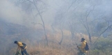 Reconoce Cofom labor de combatientes forestales