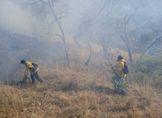 Reconoce Cofom labor de combatientes forestales