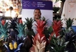Continúan las sorpresas en el Festival Michoacán de Origen